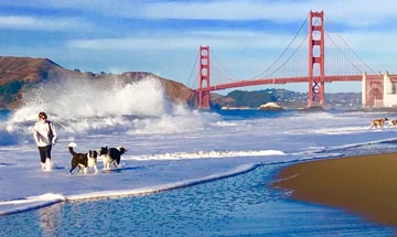 Experience legendary Alcatraz and San Francisco